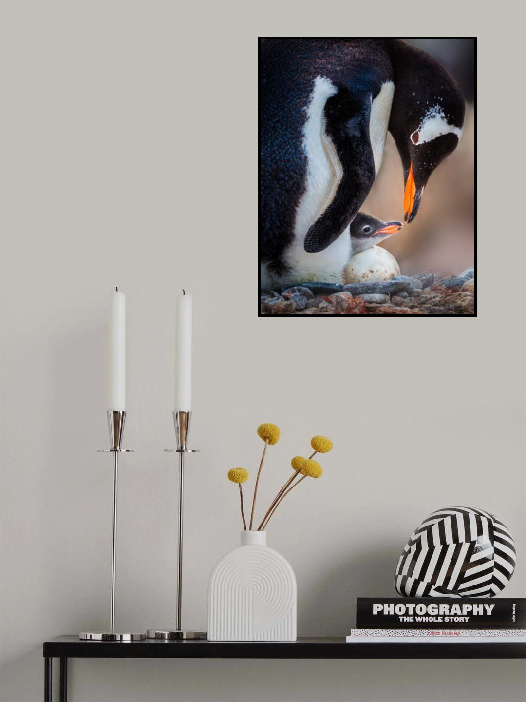 Love Poster och Canvastavla