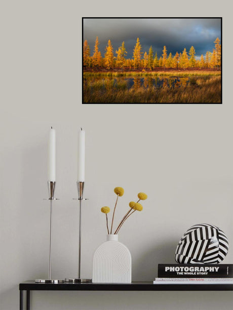Siberian fall Poster och Canvastavla