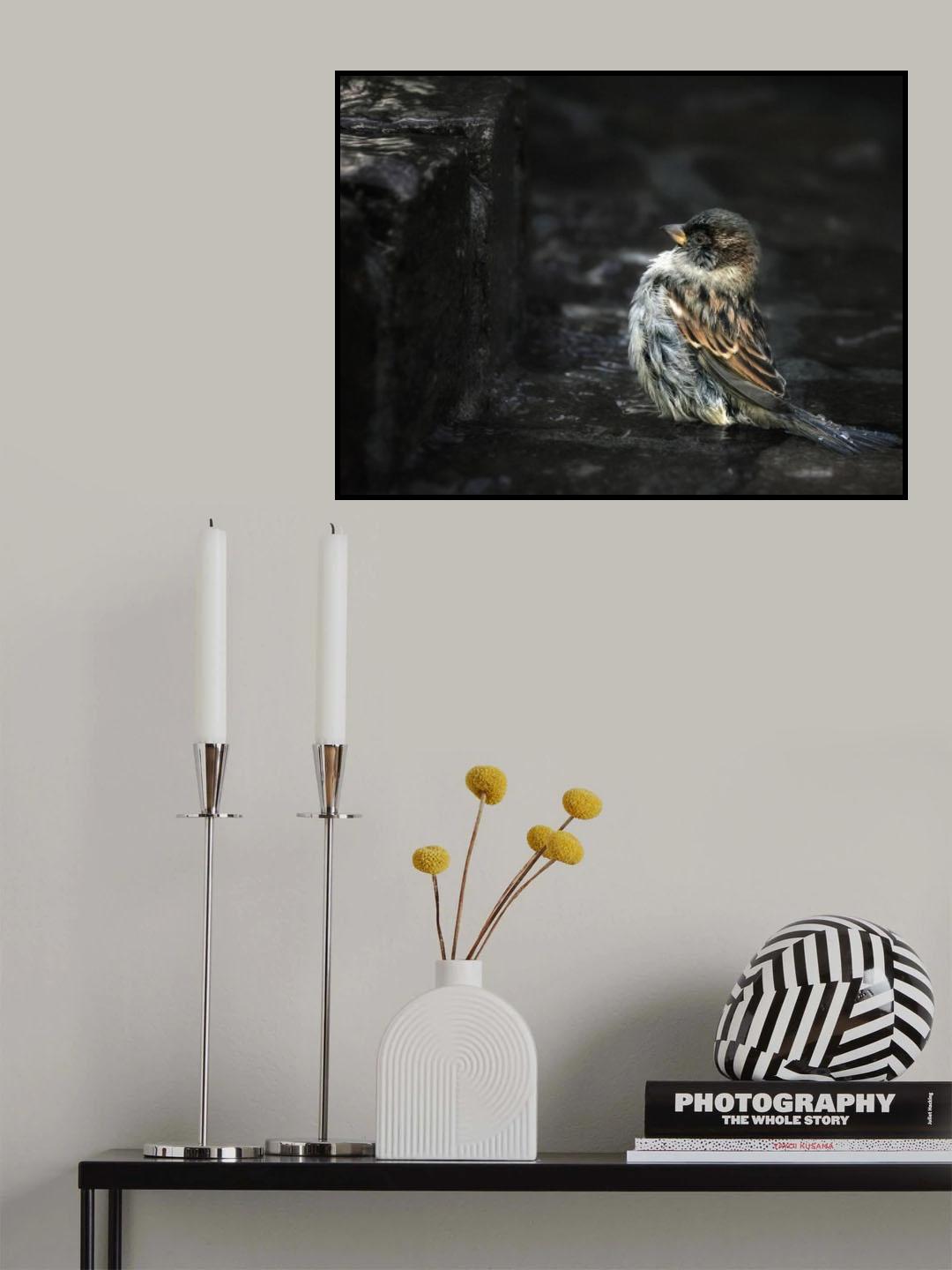 the Wall Poster och Canvastavla