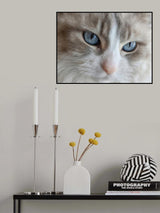 Blue Eyes Poster och Canvastavla