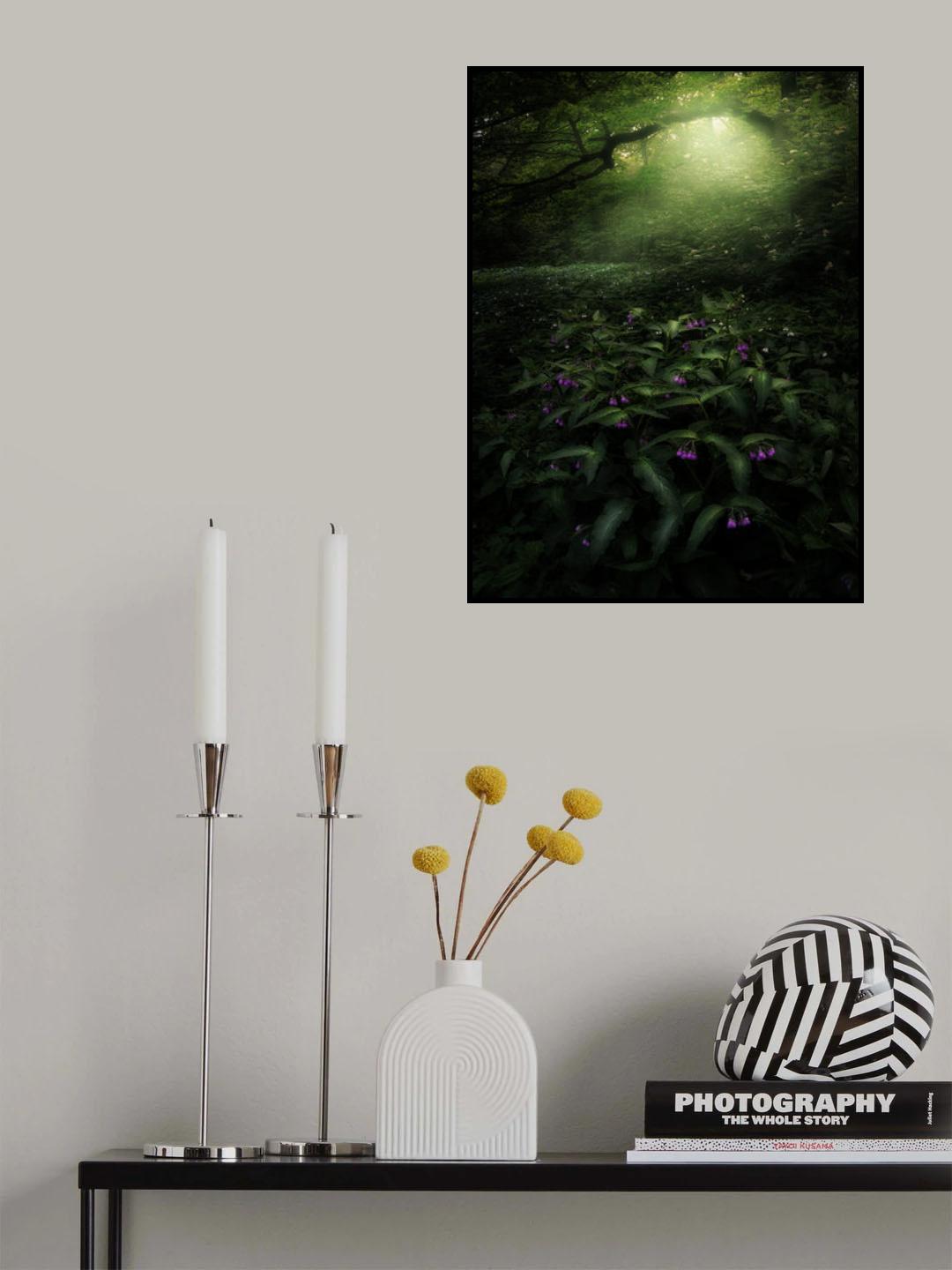 Elves Woods Poster och Canvastavla