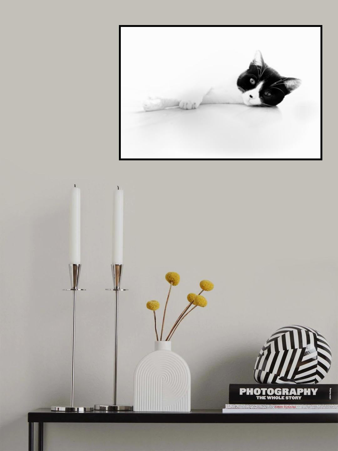 Rossi Poster och Canvastavla