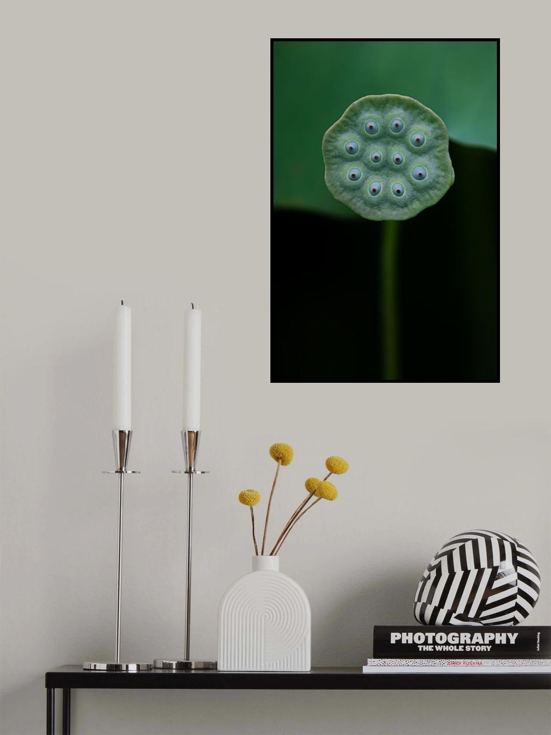 A lotus Poster och Canvastavla