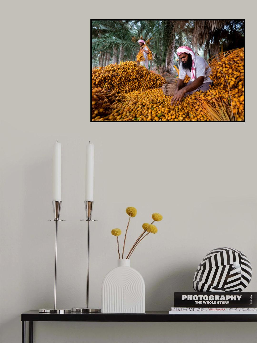 Dates Harvest Poster och Canvastavla