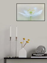 Seeds of spring Poster och Canvastavla