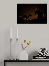 Encounter at night Poster och Canvastavla