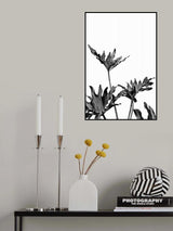 Monstera Black and White 08 Poster och Canvastavla