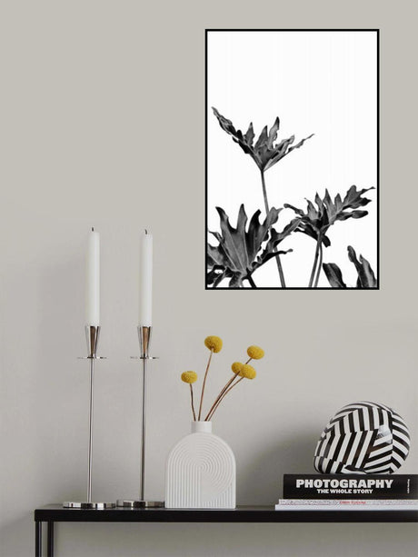 Monstera Black and White 08 Poster och Canvastavla