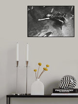 The Dondi Dedication Poster och Canvastavla
