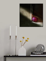 Spot light Poster och Canvastavla