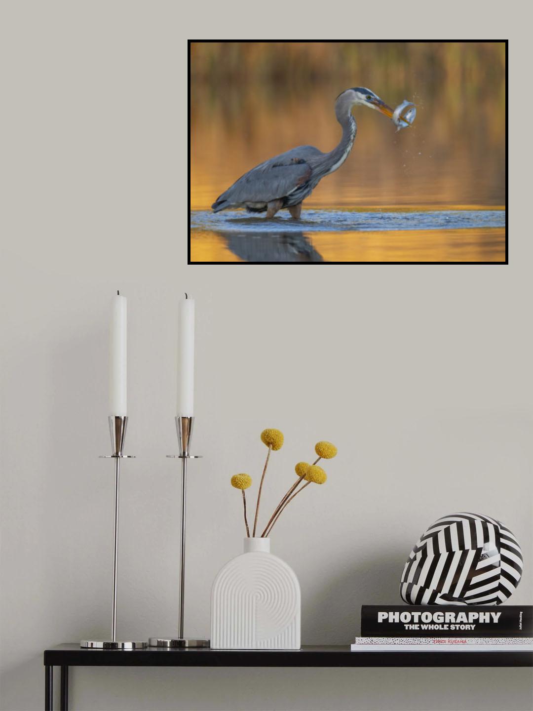 Dancing fish Poster och Canvastavla
