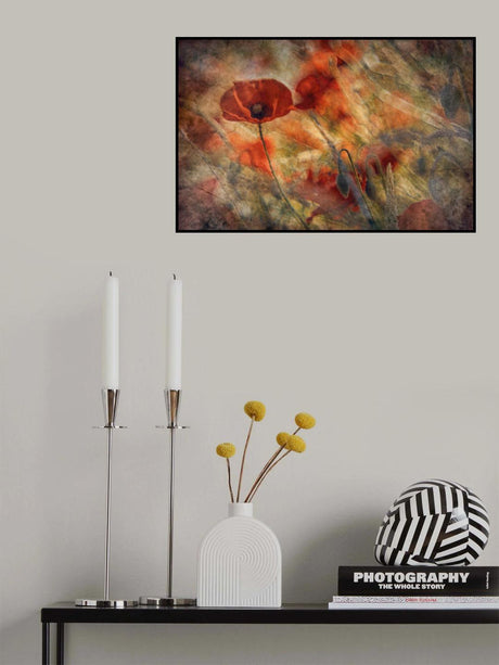 Poppy Poster och Canvastavla