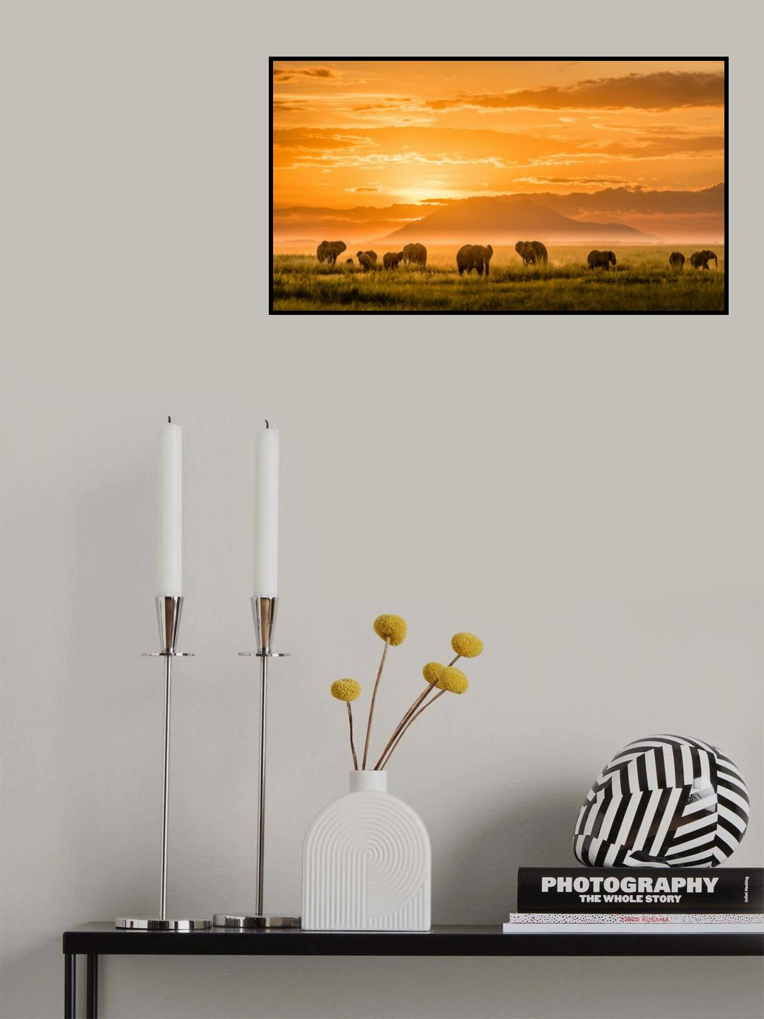 Golden Africa Poster och Canvastavla
