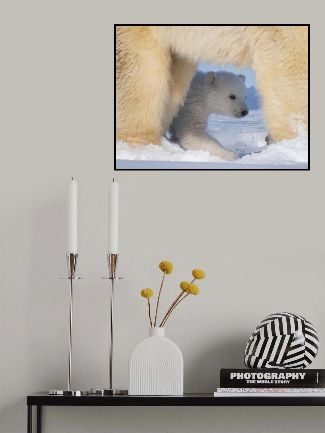 Hide Poster och Canvastavla