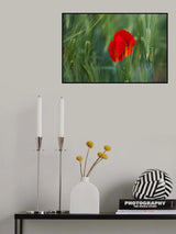 The red season Poster och Canvastavla