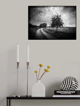 Sequence Of Frames Poster och Canvastavla