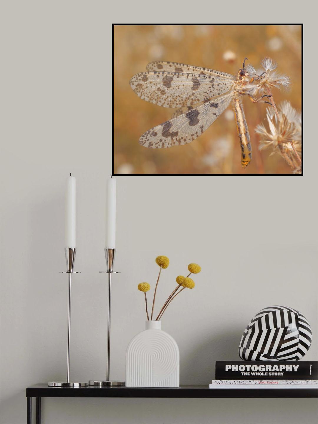 The lightness of being... Poster och Canvastavla