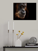 Utan Poster och Canvastavla