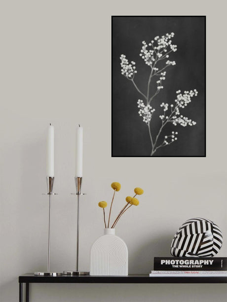 Monograph Black Flowers Poster och Canvastavla