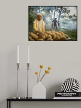 Selling Palm Sugar Poster och Canvastavla