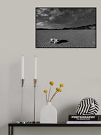Death Valley by Moonlight Poster och Canvastavla