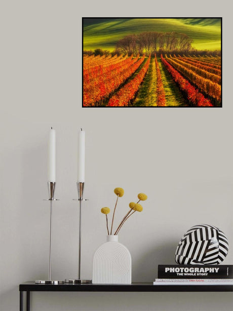 vine-growing Poster och Canvastavla