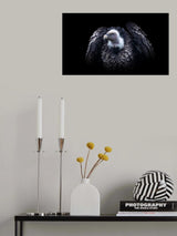 Nature's beauty... Poster och Canvastavla
