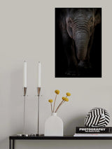 Dumbo Poster och Canvastavla