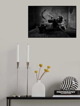 Snake Charmer Poster och Canvastavla
