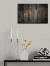 Last lights II Poster och Canvastavla