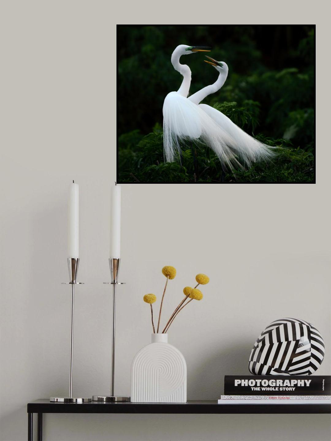 Love Birds Poster och Canvastavla