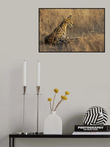 Serval Poster och Canvastavla