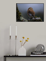 Eyes lit up Poster och Canvastavla