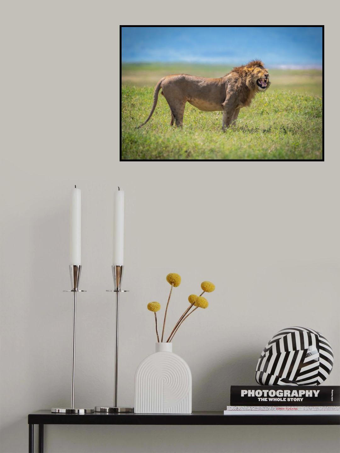 Ngorongoro Poster och Canvastavla