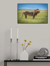 Ngorongoro Poster och Canvastavla