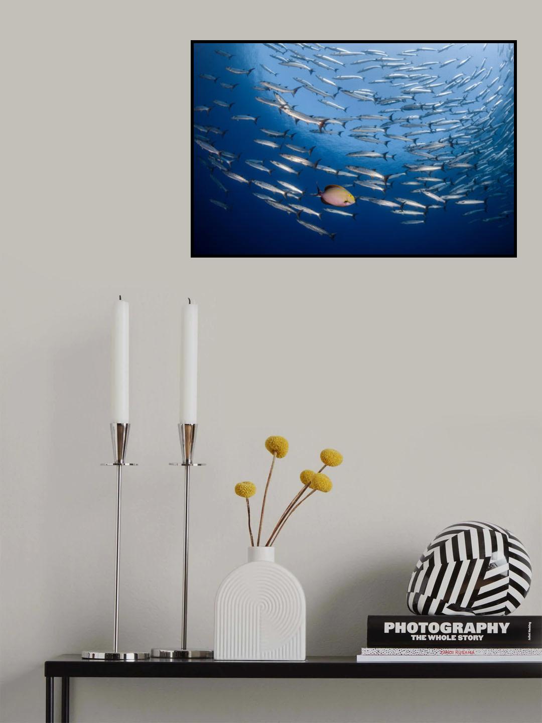Offbeat Poster och Canvastavla