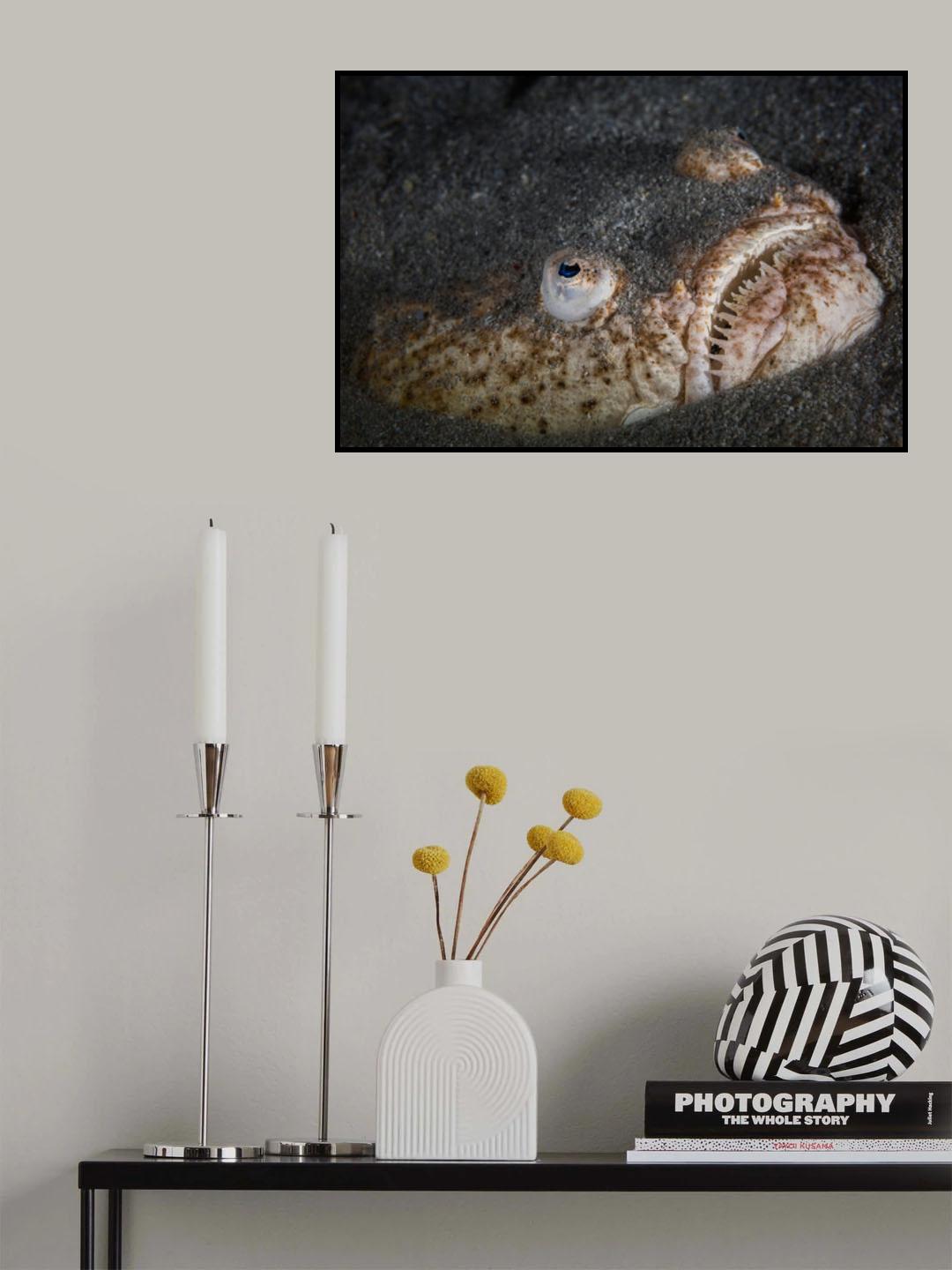 Stargazer Poster och Canvastavla