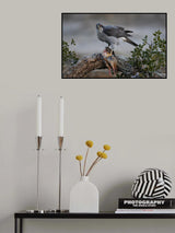 The prey Poster och Canvastavla