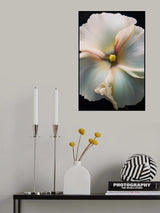 Floral Stock 2 Poster och Canvastavla