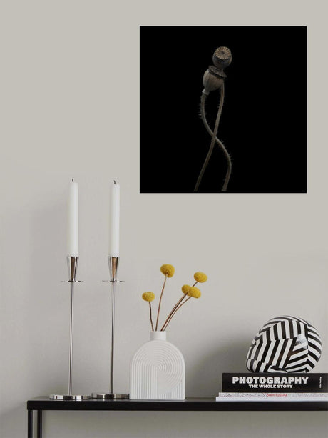 Still twogether Poster och Canvastavla
