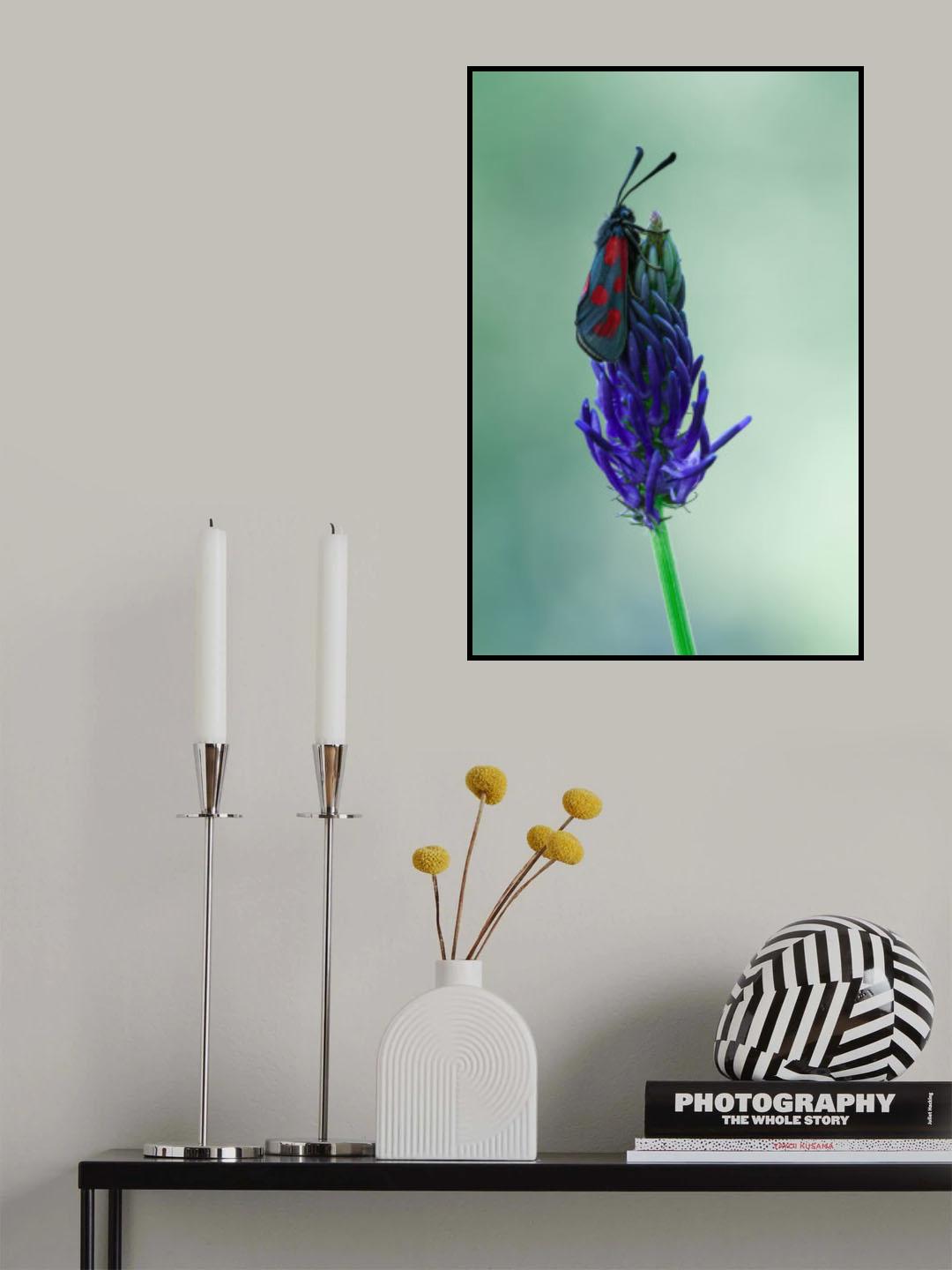 The magic world of moths Poster och Canvastavla