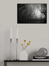 寻仙踪·踏雨雾 Poster och Canvastavla