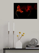 Flame of Flower Poster och Canvastavla