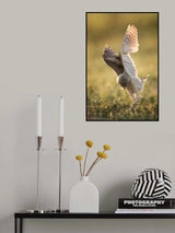 Dancing owl Poster och Canvastavla