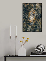 Jungle Tiger Poster och Canvastavla