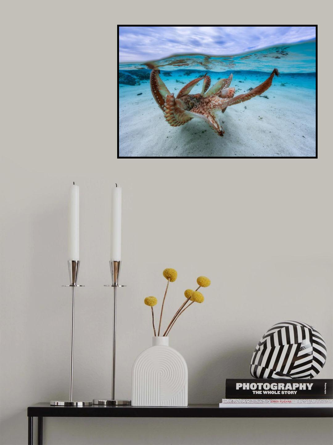 Octopus Poster och Canvastavla