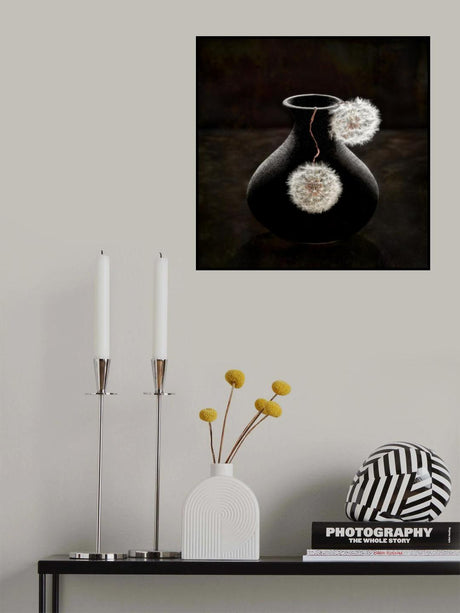 Plush Balls Poster och Canvastavla