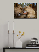 A love history Poster och Canvastavla