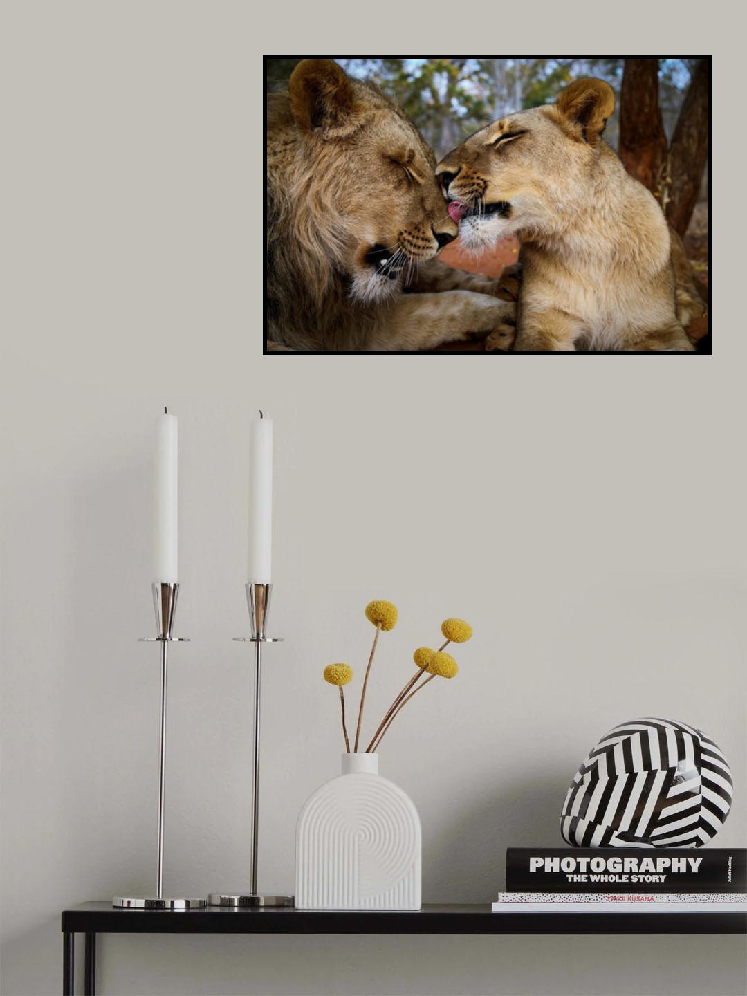 A love history Poster och Canvastavla