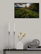 Among the daffodils Poster och Canvastavla
